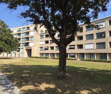 Koninginnelaan 310, 7315EE Apeldoorn - Photo 1