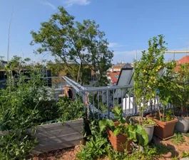 WARMMIETE - Goldener Hirsch - Stilvolle 3-Zimmer-Wohnung mit Balkon und TRAUMTERRASSE - Foto 3