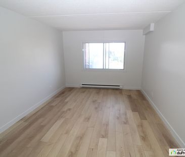 3 1/2-4849, boulevard Léger, Montréal-Nord à louer - Photo 4