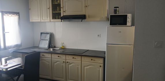 Location Appartement 1 pièce 20m² VILLENEUVE TOLOSANE 31270 - Photo 2