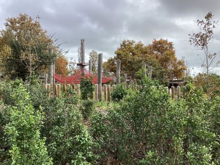 1 room luxury Flat for rent in Campolide, Portugal - Photo 4