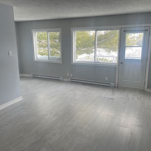 Cessation De Bail Urgent Initiative - Photo 3