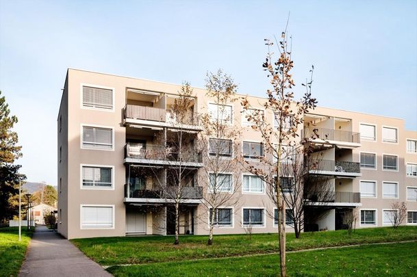 Appartement 4.5 pièces - Foto 1