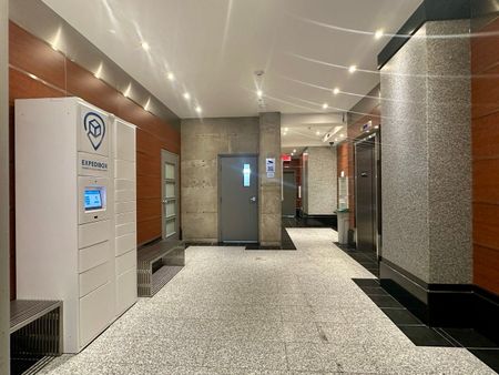 366 Rue Mayor, Montréal (Ville-Marie), QC H3A - Photo 5