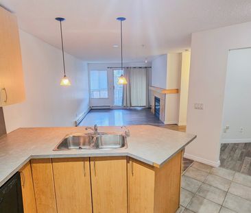 1 Br + Den Beautiful Condo For Rent In Lincoln Park: Heat & Water I... - Photo 5