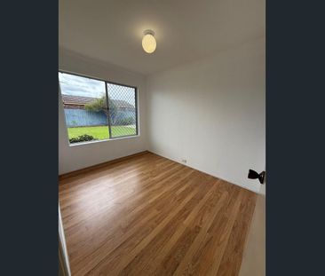 Large backyard with a shed - Photo 1