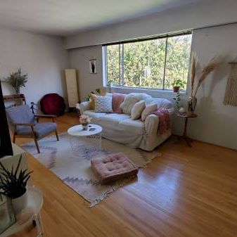 Pet Friendly Large Bright 1 bedroom available Sept 15! - Photo 4