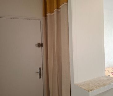 Location Appartement 1 pièce 20m² - Photo 3
