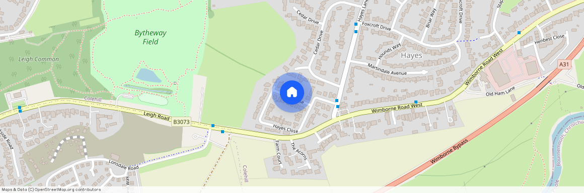 Hayes Close, Wimborne, BH21 2JL