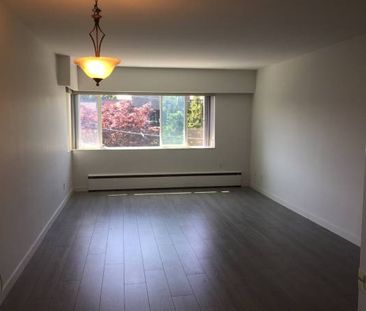 1 Bedroom - Photo 3