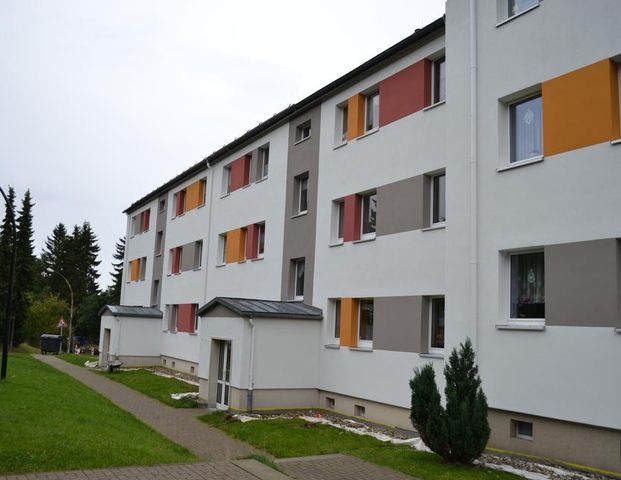 Frisch sanierte 4-Raum-Wohnung im Grünen - Photo 1