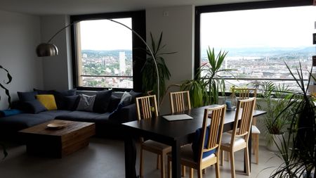 Terassenwohnung | mit Aussicht über ganz Zürich - Photo 3