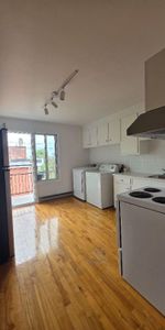 Charmant ensoleillee / Bright Sunny 3 1/2 - Photo 3