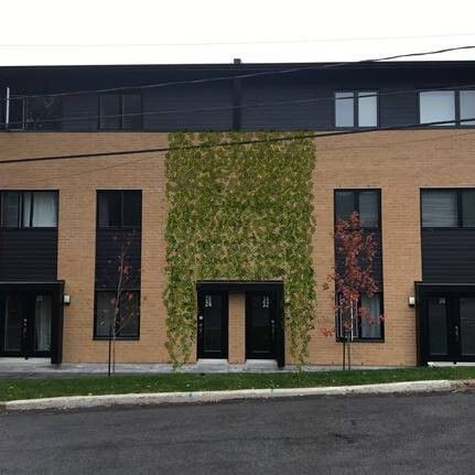 CONDO 4 1-2 NIVEAU TERRASSE + CABANON - Photo 1