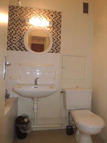 Location Appartement 1 pièce 25m² ORLEANS 45000 - Photo 5