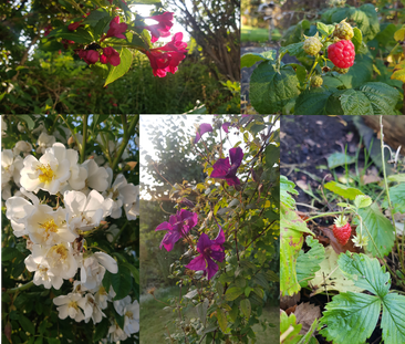 Blankversgatan, Hisings Backa - Foto 6