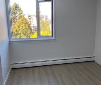 Point Grey One Bedroom - Photo 4