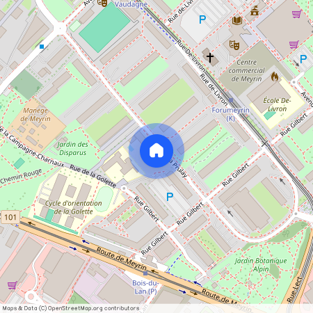 1217, Meyrin, Rue De La Prulay, 25