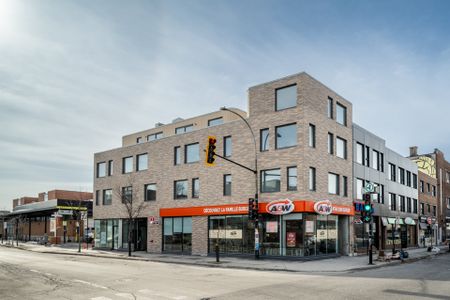 Condo for rent, Montréal (Rosemont/La Petite-Patrie) - Photo 5