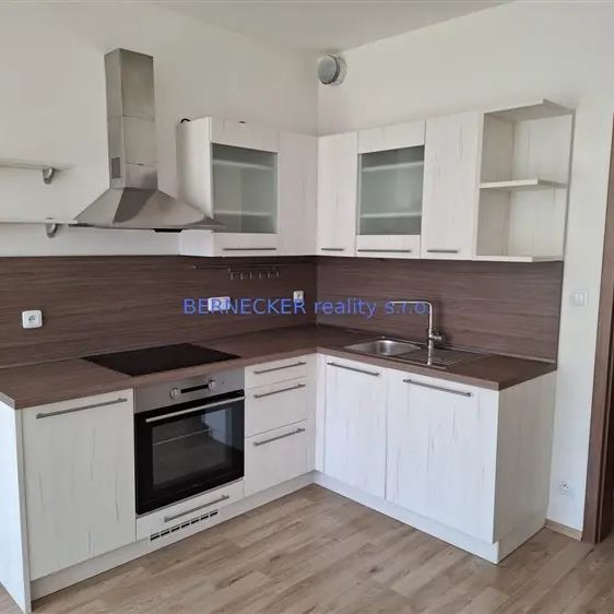 Byt 1+kk s parkovacím stáním, novostavba, pronájem - Fotografie 1