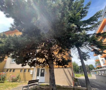 2-izbový byt s balkónom s výhľadom na Vysoké Tatry | POPRAD - Photo 1