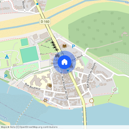 LES PONTS DE CE (49130)