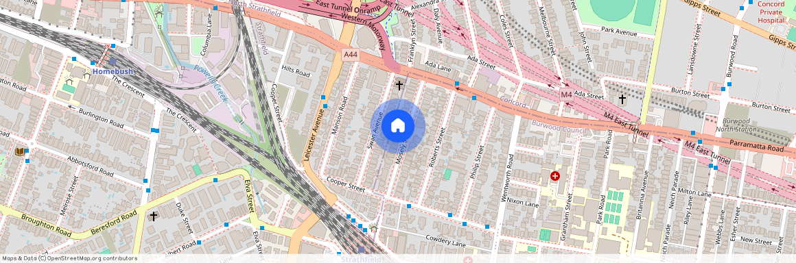 27 Mosely Street, Strathfield, NSW 2135