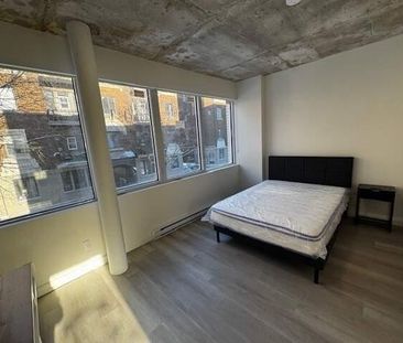 ENSOLLEILLÉ - GRAND SPECTACULAIRE - 1 CAC FERMÉE - Photo 4