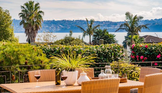 Lifestyle Property in Central Auckland - Photo 1