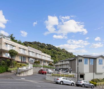 Self-Contained Units 6-17 within the 50 Park Street Complex. Availa... - Photo 5