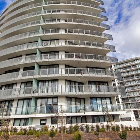 291/1 Mouat Street, Lyneham ACT 2602 - Apartment For Rent | Domain - Photo 3