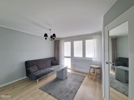 Grudziądz, Nowy Rządz Mieszkanie na wynajem - Фото 1