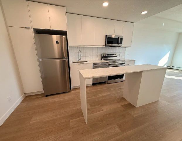 1 Bed 1 Bath Apartment — 1 Bedroom Condo Unit - Photo 1