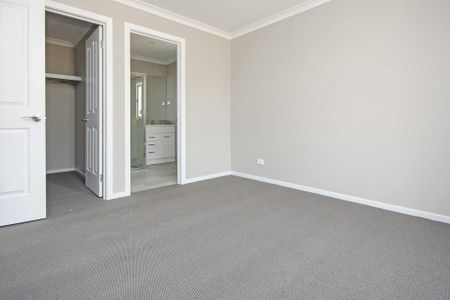 Brand new and waiting for a family! - Photo 5