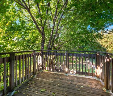 For Lease - 34 windermere Court Unit# Upper, Brampton, Ontario - Photo 3