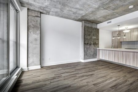 1220 Rue Crescent, app.310, H3G 0C3, H3G 0C3, Montréal - Photo 3