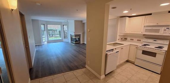 Spacious 1 Bedroom Suite Fully Renovated with large Terrace - Photo 2