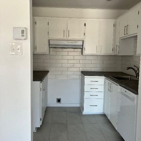 41/2 à louer regard sur le parc Louis-Riel quartier Mercier Hochelaga Maisonneuve - Photo 4