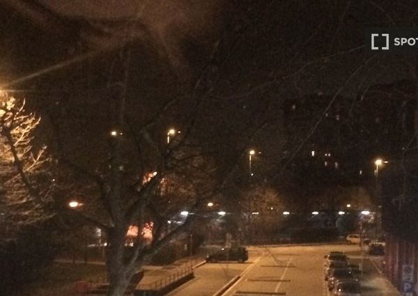 milan, Lombardy 20099