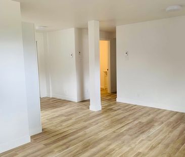 À Louer – Bas De Duplex à Saint-Donat - Photo 2