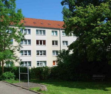 Erdgeschosswohnung mit Tageslichtbad - Foto 4