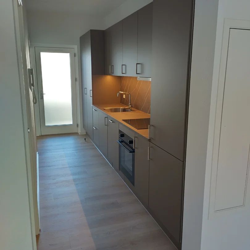 Moderne bylejlighed med elevator i Aalborgs hjerte - Foto 1
