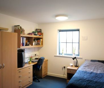 Standard Shared - Photo 4