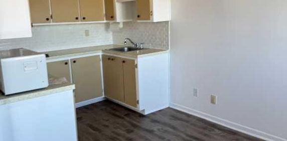 Grand appartement 4 1/2 à louer, Laval, Qc - Photo 2