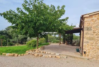 Av. son Caliu, 17, 07181 Palmanova, Illes Balears, Spain, Palma Nova, Balearic Islands 07181