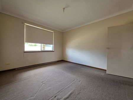 Large Affordable Unit in Ottoway! - Photo 3
