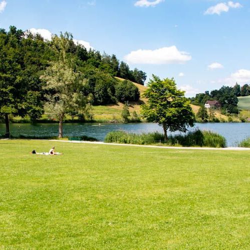 APPARTEMENT DE 3 PIÈCES À LUCERNE, MEUBLÉ, TEMPORAIRE - Photo 1