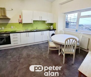 Walter Road, SWANSEA - Photo 4