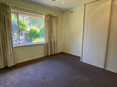 30 Young St, Burnside SA 5066 - House For Rent | Domain - Photo 5