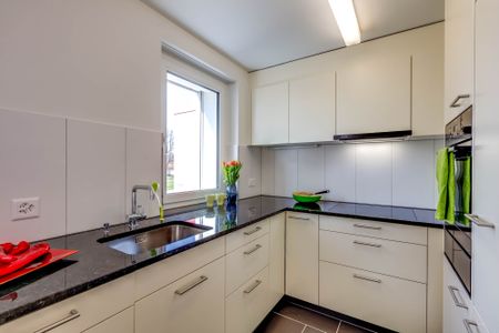 Wohnung mit grossem Schlafzimmer - der Frühling kann kommen. - Foto 3